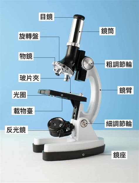 凹透鏡應用|光學顯微鏡原理及其應用